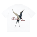 Signature Winged Graphic Oversized Tee ODMPOD